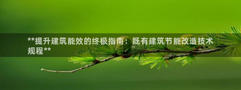 e尊国际娱乐官网下载：**提升建筑能效的终极指南：既有建筑节能改造技术
规程**