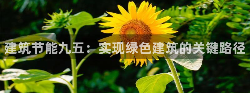 e尊国际是干什么的：建筑节能九五：实现绿色建筑的关键路径