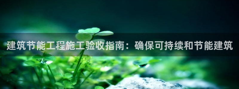 e尊国际官网：建筑节能工程施工验收指南：确保可持续和节能建筑