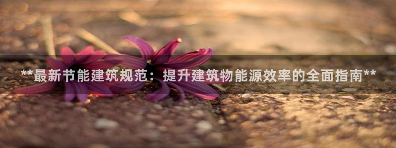 e尊国际-可可计划：**最新节能建筑规范：提升建筑物能源效率的全面指南**