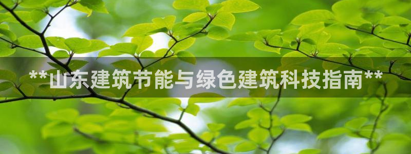 e尊国际7779：**山东建筑节能与绿色建筑科技指南**