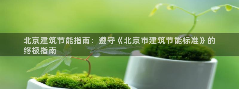 e尊国际是个黑网：北京建筑节能指南：遵守《北京市建筑节能标准》的
终极指南