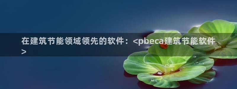 谁知道e尊国际的网址：在建筑节能领域领先的软件：<pbeca建筑节能软件
>