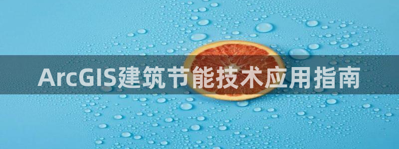 e尊国际的手机登录网站：ArcGIS建筑节能技术应用指南