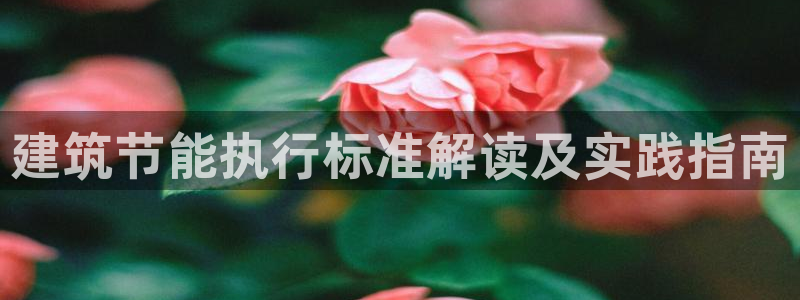 谁知道e尊国际的网址：建筑节能执行标准解读及实践指南
