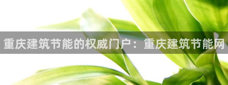 e尊国际-可可计划：重庆建筑节能的权威门户：重庆建筑节能网