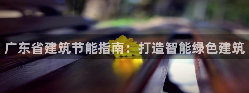 e尊国际官网·网址：广东省建筑节能指南：打造智能绿色建筑