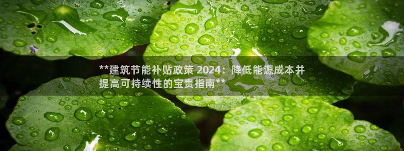 e尊国际娱乐官网地址：**建筑节能补贴政策 2024：降低能源成本并
提高可持续性的宝贵指南**