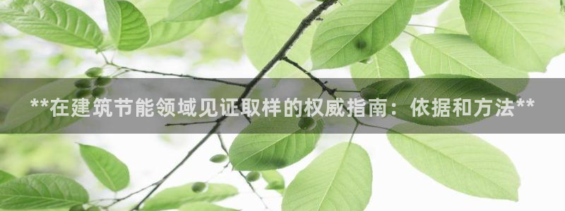 e尊国际地址：**在建筑节能领域见证取样的权威指南：依据和方法**