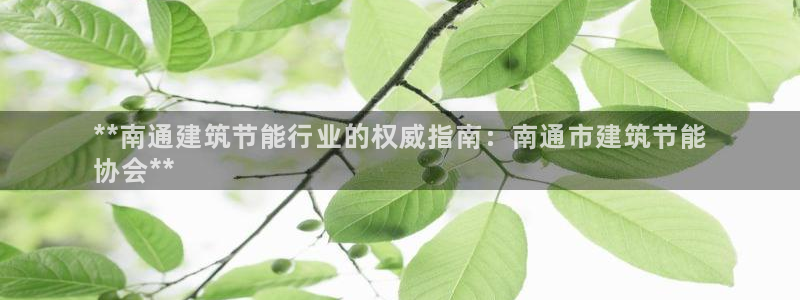 e尊国际官方网站：**南通建筑节能行业的权威指南：南通市建筑节能
协会**