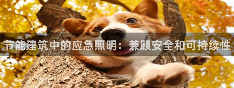 e尊国际网址：节能建筑中的应急照明：兼顾安全和可持续性
