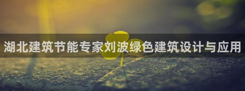 e尊国际官网·网址：湖北建筑节能专家刘波绿色建筑设计与应用