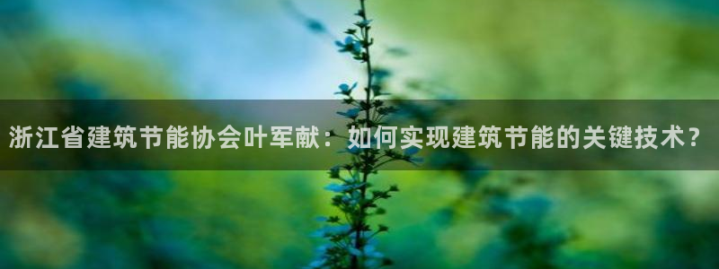 e尊国际7779：浙江省建筑节能协会叶军献：如何实现建筑节能的关键技术？