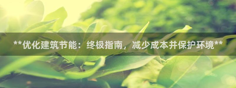 e尊国际官方网站：**优化建筑节能：终极指南，减少成本并保护环境**