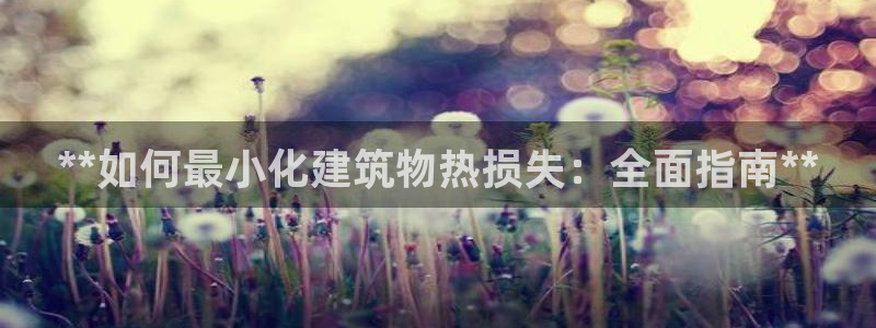e尊国际是干什么的：**如何最小化建筑物热损失：全面指南**