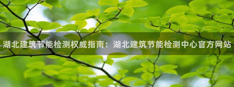 e尊国际客户端下载：湖北建筑节能检测权威指南：湖北建筑节能检测中心官方网站