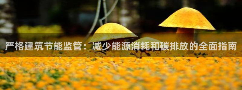 e尊国际-e尊国际官网：严格建筑节能监管：减少能源消耗和碳排放的全面指南