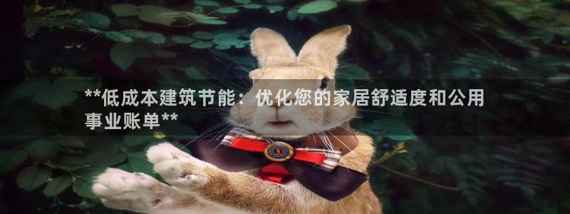 e尊国际网址：**低成本建筑节能：优化您的家居舒适度和公用
事业账单**