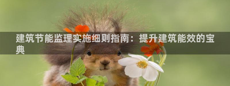 e尊国际是个黑网：建筑节能监理实施细则指南：提升建筑能效的宝
典