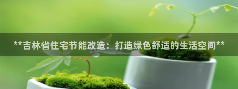 e尊国际可靠吗：**吉林省住宅节能改造：打造绿色舒适的生活空间**
