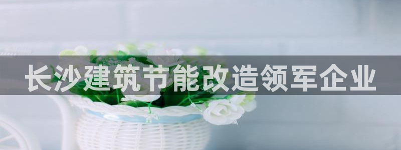 e尊国际是干什么的：长沙建筑节能改造领军企业