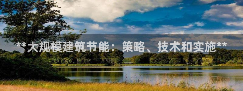 尊亿游戏国际官网：**大规模建筑节能：策略、技术和实施**