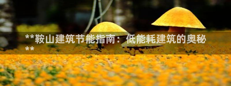 尊亿娱乐国际官网：**鞍山建筑节能指南：低能耗建筑的奥秘
**