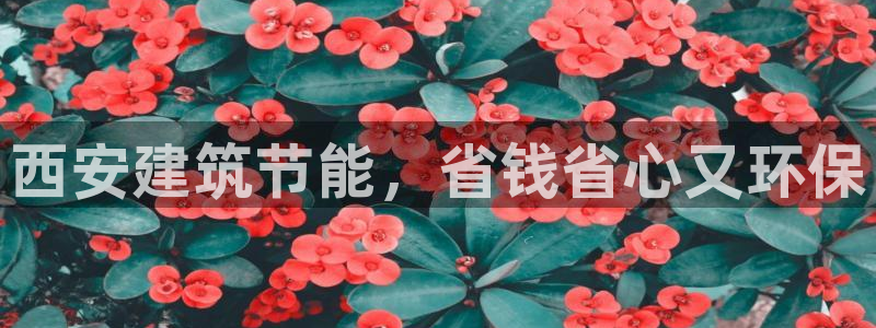 e尊体育：西安建筑节能，省钱省心又环保