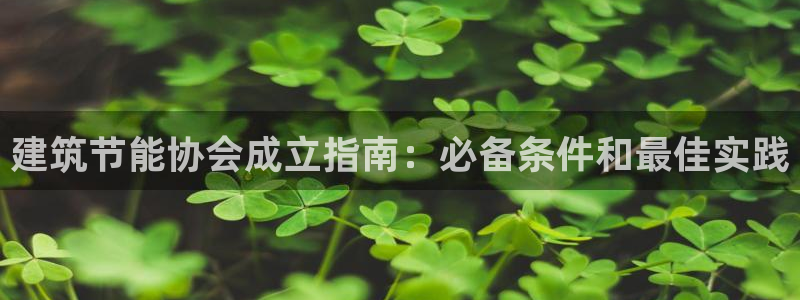e尊国际客服：建筑节能协会成立指南：必备条件和最佳实践