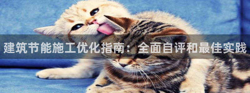e尊国际网址：建筑节能施工优化指南：全面自评和最佳实践
