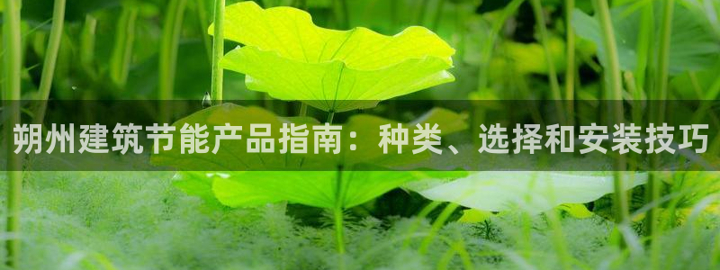 e尊国际app：朔州建筑节能产品指南：种类、选择和安装技巧
