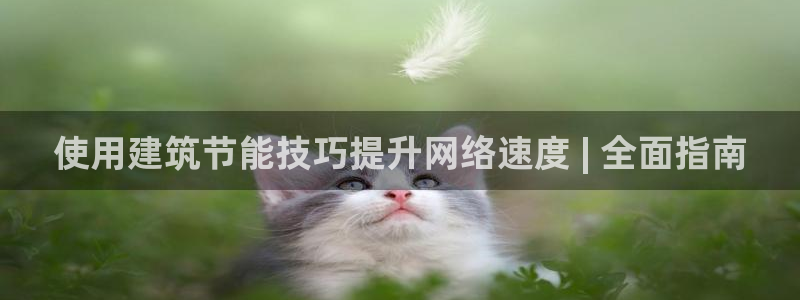 e尊国际客户端：使用建筑节能技巧提升网络速度 | 全面指南