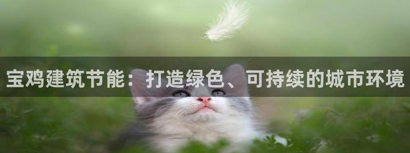e尊国际-可可计划：宝鸡建筑节能：打造绿色、可持续的城市环境