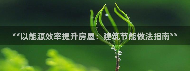 E尊国际：**以能源效率提升房屋：建筑节能做法指南**