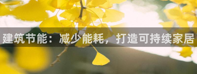 谁知道e尊国际的网址：建筑节能：减少能耗，打造可持续家居