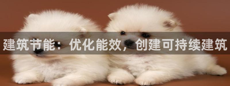 尊亿娱乐国际官网：建筑节能：优化能效，创建可持续建筑