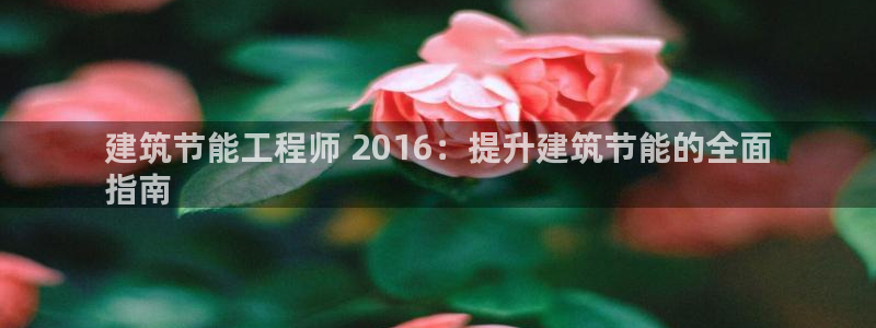 e尊国际娱乐官网下载：建筑节能工程师 2016：提升建筑节能的全面
指南