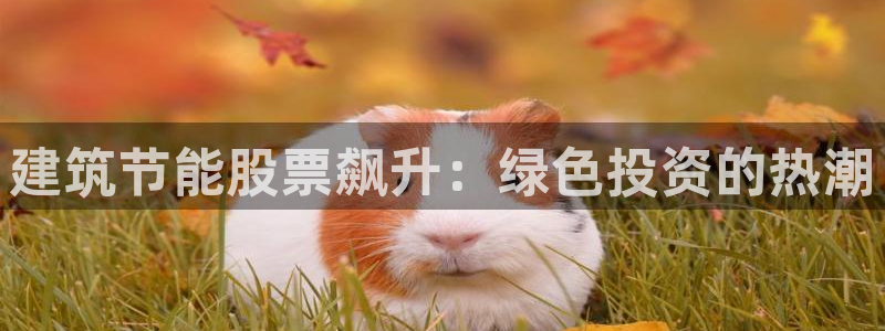e尊国际官方网站：建筑节能股票飙升：绿色投资的热潮