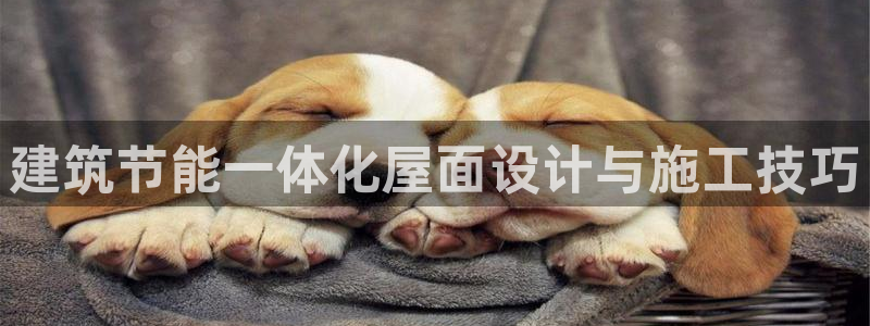 e尊国际平台：建筑节能一体化屋面设计与施工技巧