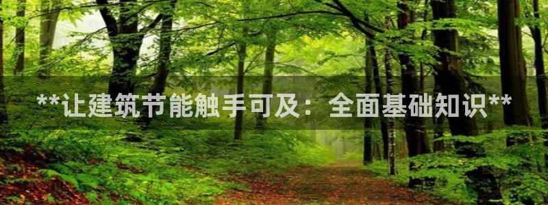 E尊国际：**让建筑节能触手可及：全面基础知识**