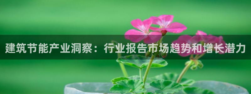e尊国际-可可计划：建筑节能产业洞察：行业报告市场趋势和增长潜力