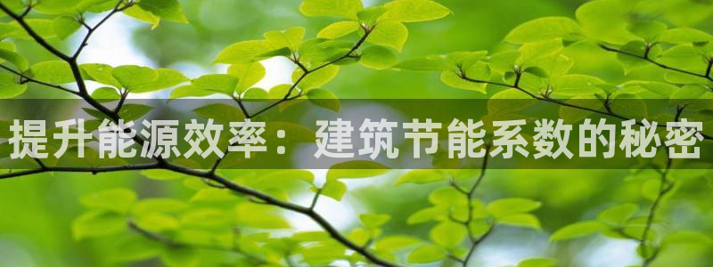 e尊国际地址：提升能源效率：建筑节能系数的秘密