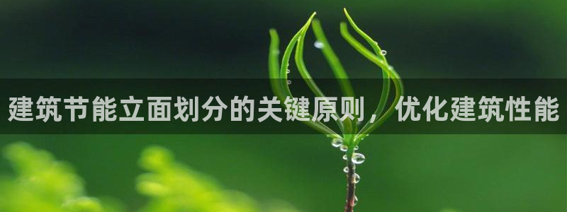 e尊国际-e尊国际官网：建筑节能立面划分的关键原则，优化建筑性能