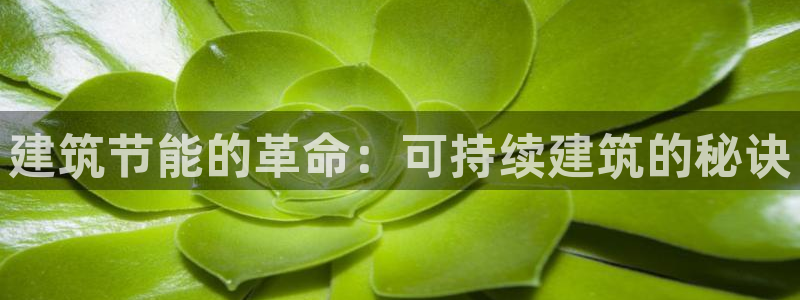 e尊国际官方网站：建筑节能的革命：可持续建筑的秘诀