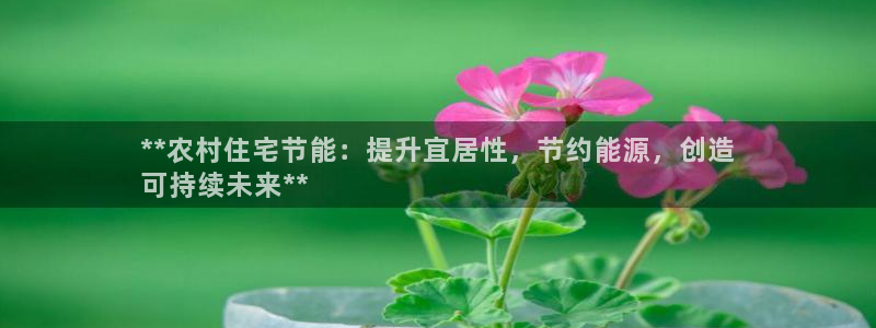e尊国际是个黑网：**农村住宅节能：提升宜居性，节约能源，创造
可持续未来**