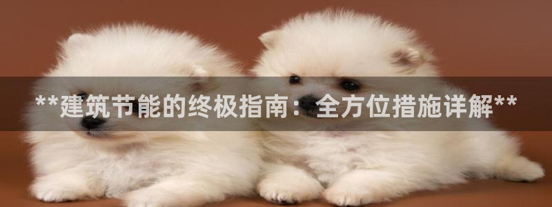 e尊国际官网·网址：**建筑节能的终极指南：全方位措施详解**