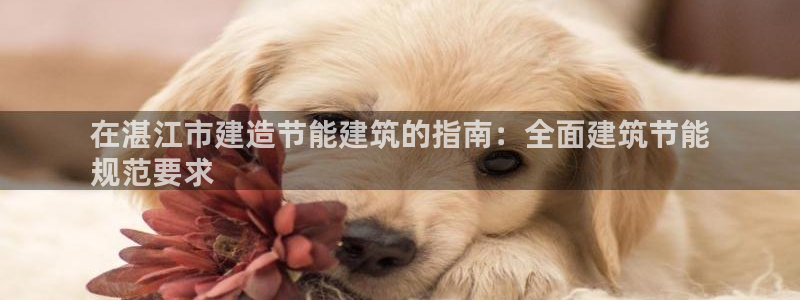 e尊国际-e尊国际官网：在湛江市建造节能建筑的指南：全面建筑节能
规范要求