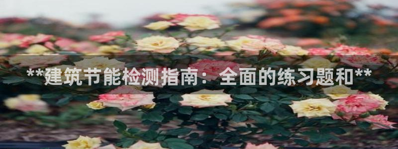 e尊国际客服：**建筑节能检测指南：全面的练习题和**