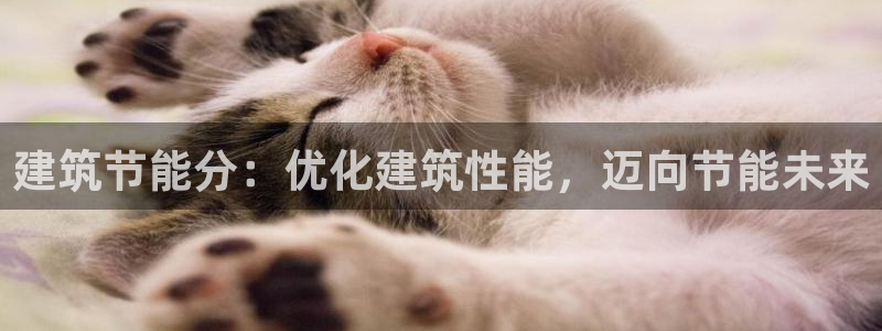 e尊国际客服：建筑节能分：优化建筑性能，迈向节能未来