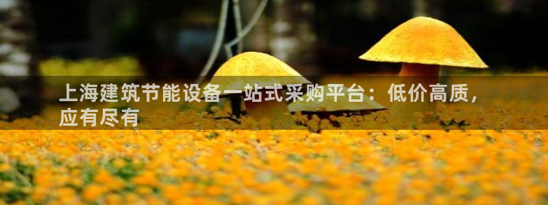 e尊国际是干什么的：上海建筑节能设备一站式采购平台：低价高质，
应有尽有